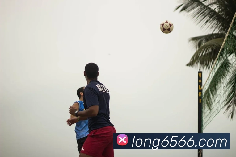 龙8-long8(国际)官方网站平台生态图